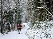 07 si prosegue nel bosco